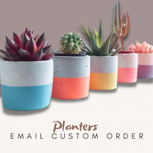 Planter store item